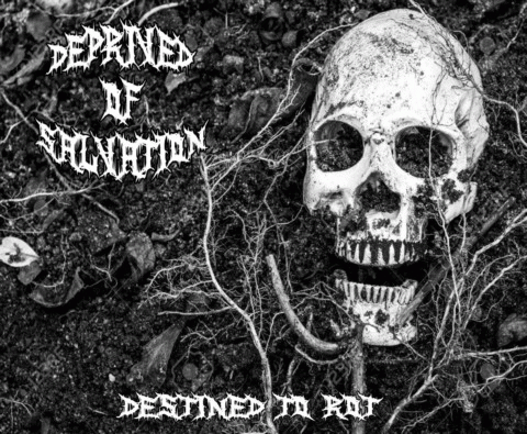 Deprived Of Salvation : Destined to Rot